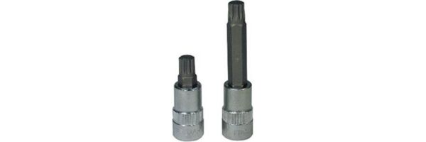 Socket bit - multi-tooth