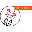 PROJAHN 10er Pack 1/4" STAR Bit L25mm TX25 ZrN
