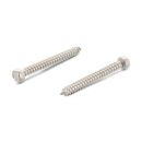 PROJAHN 10er Pack 1/4" Bit konisch L50 mm TX T7W