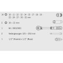 PROJAHN 1/2" professional Steckschlüssel-Koffer 20-teilig