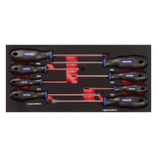 PROJAHN Schraubendreher Einlage "gemischt" 8tlg PH + PZ + Schlitz