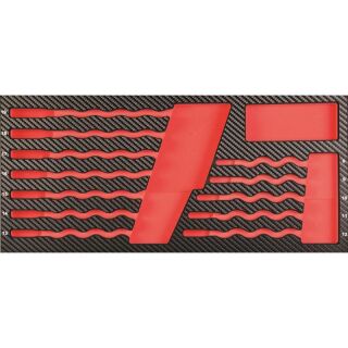 PROJAHN ProForm Einlage leer für GearTech Ratschenschlüssel umschaltbar 12-tlg.