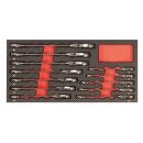 PROJAHN ProForm Schubladen Einlage mit GearTech...