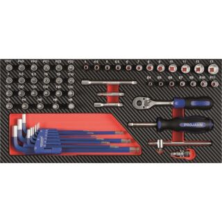 PROJAHN ProForm Einlage mit 1/4" Werkzeug-Satz - 58tlg