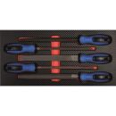 PROJAHN ProForm Einlage mit 5 Feilen