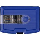 PROJAHN 1/4" Bit Box mit markierten Bits 60tlg inkl. Ratschenschraubendreher mit Bitfach