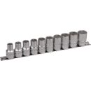 PROJAHN 1/2" Xi-on Stecknuss Schiene 10tlg - 10 bis 19mm