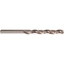 drill bit HSS-G DIN 338 Typ N BASIC 1,7 mm