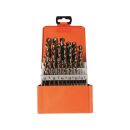 PROJAHN Bohrerkassette HSS-Co 25tlg 1-13/0,5 mm ECO