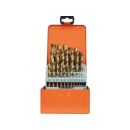 Twist drill set HSS-TiN 1-13/0,5 mm 25 pcs