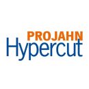 PROJAHN 5 x Säbelsägeblatt PW30050 für Grünholz, HCS, 300 mm,