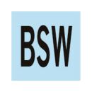 PROJAHN Schneideisen HSS-G DIN223 BSW (Withworth Grobgewinde) 3/16"x24 / 20x7